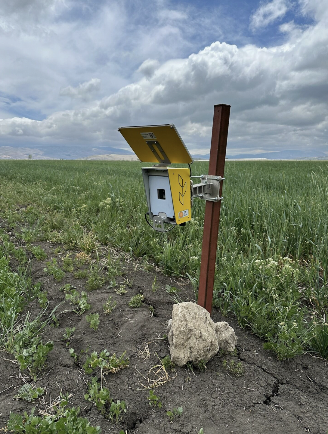 Phenology Camera 