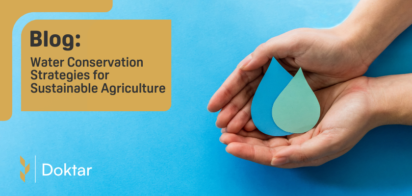 Water Conservation Strategies for Sustainable Agriculture