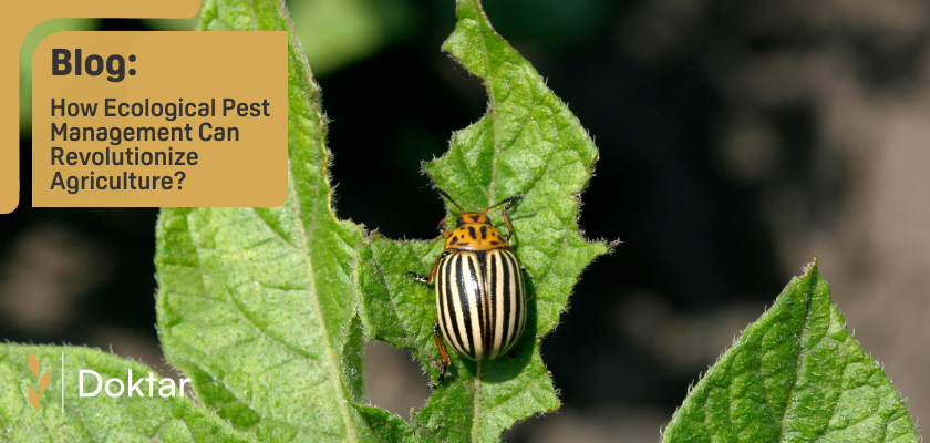 How Ecological Pest Management Can Revolutionize Agriculture?
