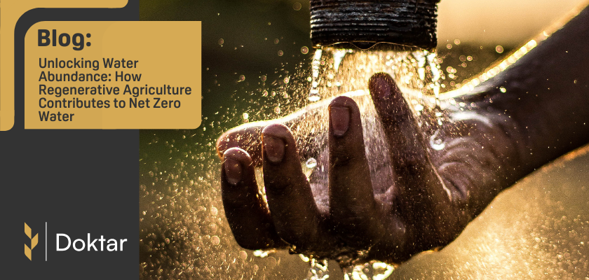 Unlocking Water Abundance: How Regenerative Agriculture Contributes to Net Zero Water