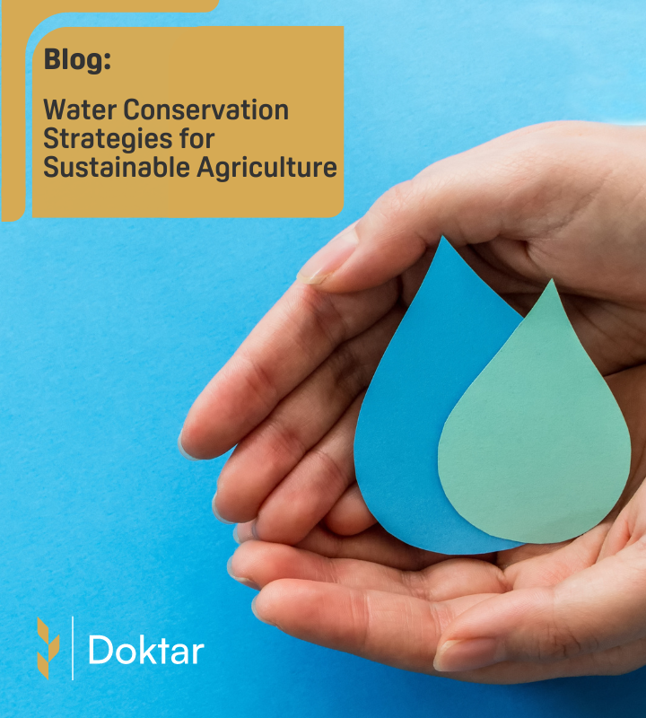 Water Conservation Strategies For Sustainable Agriculture Hero Image