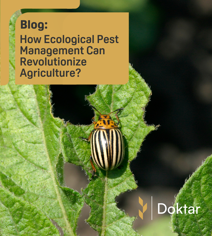 Ecological Pest Management Hero Image