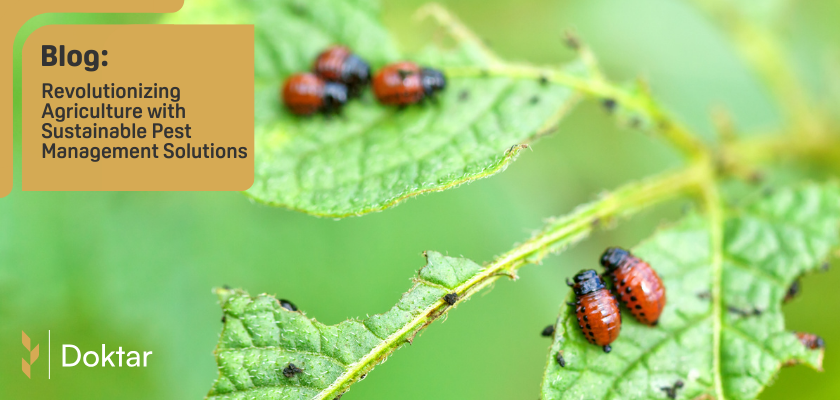 Revolutionizing Agriculture with Sustainable Pest Management Solutions